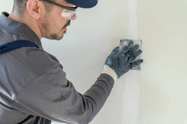 Best Post-Construction Mold Inspection  in Pelahatchie, MS