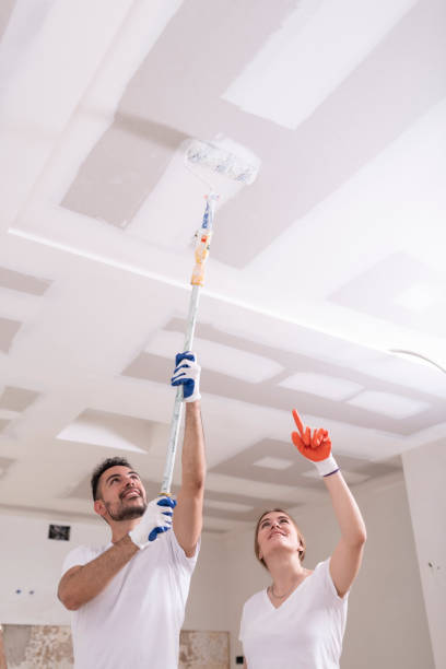 Best Industrial Mold Remediation  in Pelahatchie, MS