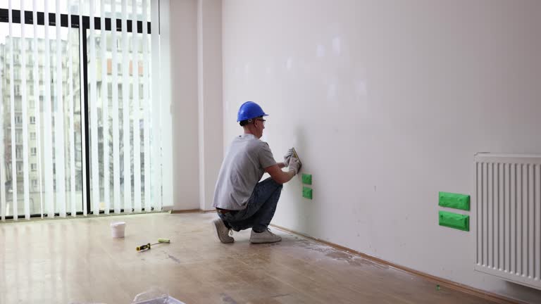 Best Basement Mold Removal  in Pelahatchie, MS