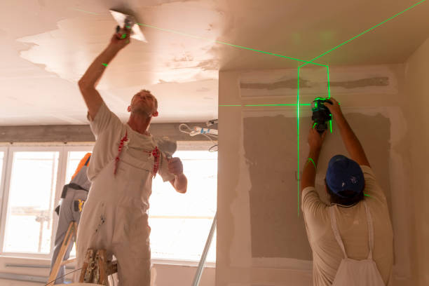 Best Crawl Space Mold Remediation  in Pelahatchie, MS