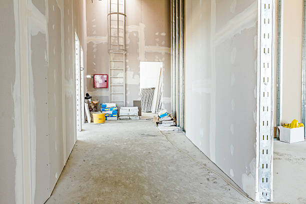 Trusted Pelahatchie, MS Mold Removal Experts